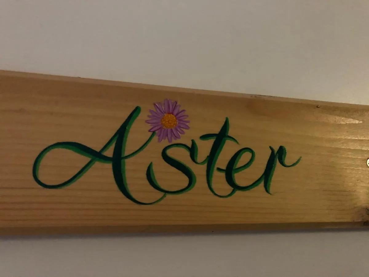 Appartement Aster Residence Laureane 1Er Etage Cauterets France